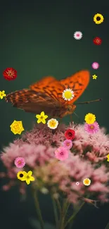 Orange butterfly perched on pink flowers against a dark green background.