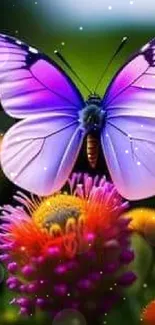 Vibrant purple butterfly on a colorful flower in a nature setting.