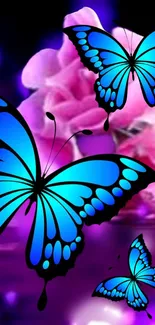 Blue butterflies with pink flowers background.