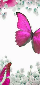 Pink butterflies with white blossoms wallpaper.