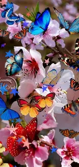 Colorful butterflies and pink blossoms mobile wallpaper.