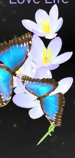 Blue butterflies and purple flowers on black background.