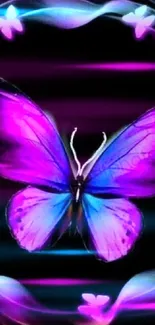 Vibrant butterfly encircled by colorful light swirls on a black background.