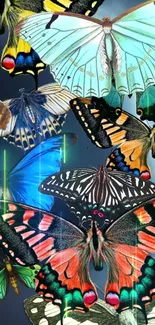 A vibrant collage of various colorful butterflies with intricate patterns.