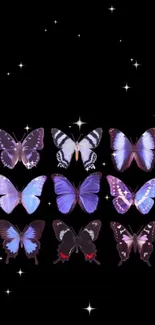 Vibrant butterflies on a black background wallpaper.