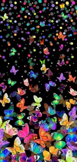 Colorful butterflies and dots on a black background wallpaper.