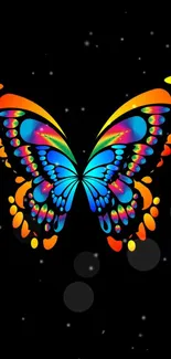 Vibrant butterfly design on black background wallpaper.