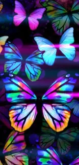 Colorful butterflies on a dark background mobile wallpaper.