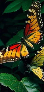 Colorful butterflies gracefully rest on green leaves.