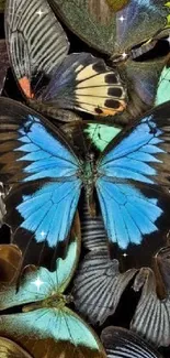 Vibrant blue butterfly in a colorful display of nature.