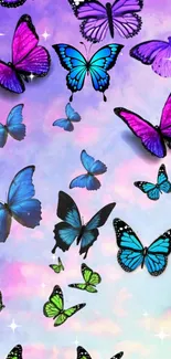 Colorful butterfly wallpaper with a dreamy sky background.