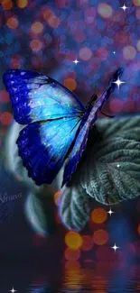 Blue butterfly with bokeh background on mobile wallpaper.