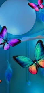 Colorful butterflies against a blue background.