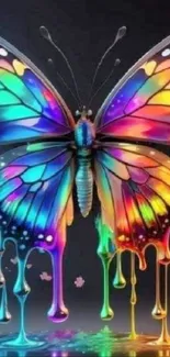 Vibrant, rainbow-colored butterfly dripping with paint on a black background.