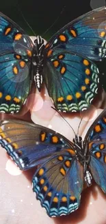 Two vibrant butterflies resting on a hand, showcasing intricate patterns.