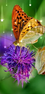 Two vibrant butterflies on purple wildflowers with a green backdrop.