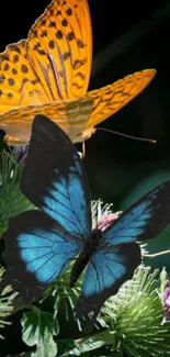 Vibrant butterflies on green foliage wallpaper.