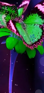 Vibrant butterfly on neon green flower with dark purple background.