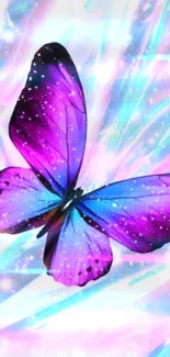 Purple and blue butterfly on holographic background wallpaper.