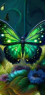 Colorful butterfly in fantasy scene wallpaper.