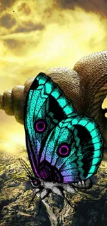 A vibrant butterfly with a fantasy background on mobile wallpaper.