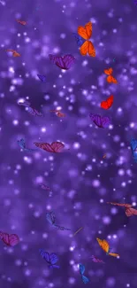 Colorful butterflies on a purple galaxy background.