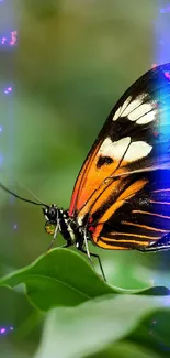 Butterfly with vibrant neon glow on green leaves, creating a fantasy theme.