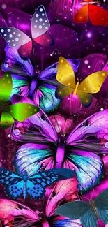 Vibrant fantasy wallpaper featuring colorful butterflies on a purple background.