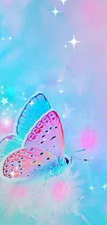 Vibrant pastel butterfly wallpaper with sparkles and soft colors.