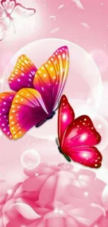 Colorful butterfly on pink fantasy background wallpaper.