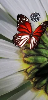 Red butterfly on a green and white flower with a gem accent.