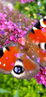 Vibrant butterfly on pink flowers with colorful visual appeal.