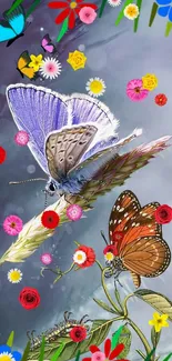 Vibrant butterflies and flowers wallpaper with a gray background.