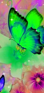 Colorful butterfly wallpaper with vibrant floral design.