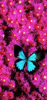 Purple flowers with a butterfly, creating a vibrant mobile wallpaper.