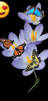 Colorful butterflies on flowers with heart emoji on black background.