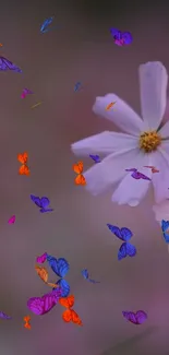 Colorful butterflies and white flower wallpaper for mobile phones.