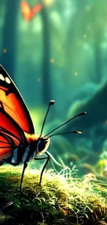 Vibrant butterfly in a lush forest setting with glowing sunlight.