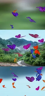 Colorful butterflies in a green forest scene mobile wallpaper.