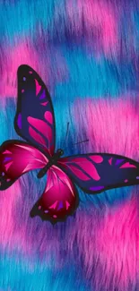 Pink and purple butterfly on a blue and pink fur background.