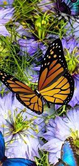 Vibrant butterflies amongst purple flowers.