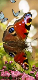 Vibrant butterfly resting on flowers with a blurred garden background.