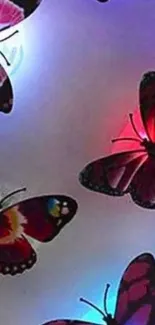 Colorful butterflies glowing with vibrant light on a dark background.