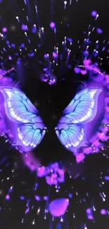 Vibrant butterfly with glowing purple wings on dark background.