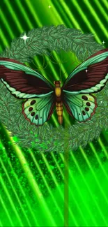 Vibrant butterfly on green neon background wallpaper.