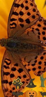 Orange butterfly on yellow flower with Halloween icons.