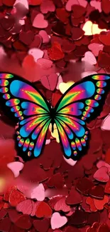 Vibrant butterfly on red heart background wallpaper.