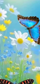 Colorful butterfly with blue wings in a field of daisies and wildflowers.