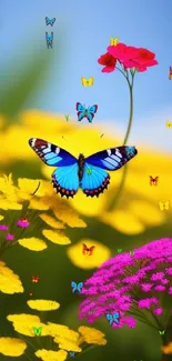 Blue butterfly on colorful flowers wallpaper.