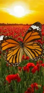 Butterfly flying over poppy field at sunset, vivid colors.